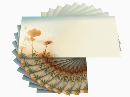 Stationery Autumn Sun Writing paper